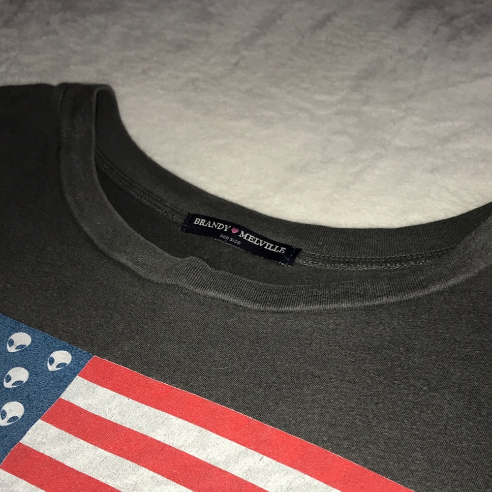 gray brandy melville crop top